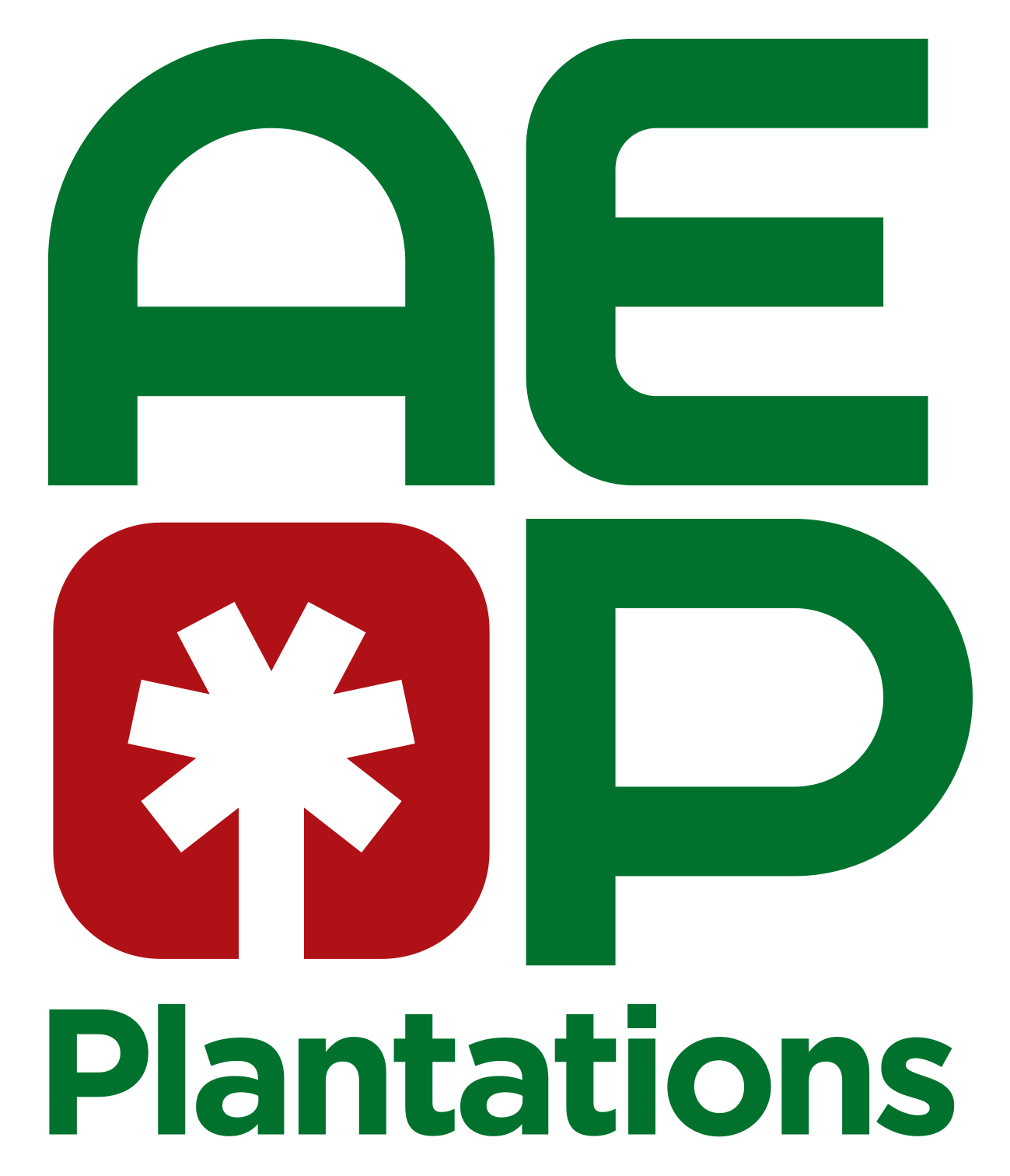 AEP GROUP