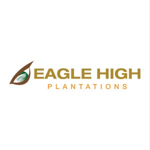 EHP GROUP