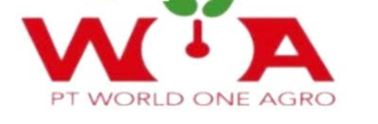 WOA GROUP